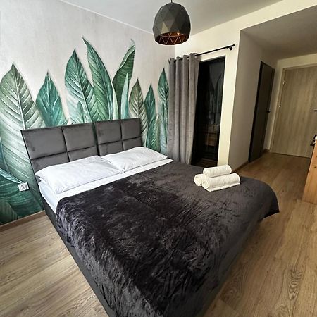 Niron Apartament Dabrowskiego 皮拉 外观 照片